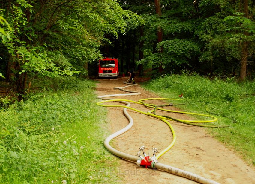 Waldbrand Bergisch Gladbach Bensberg P088.JPG